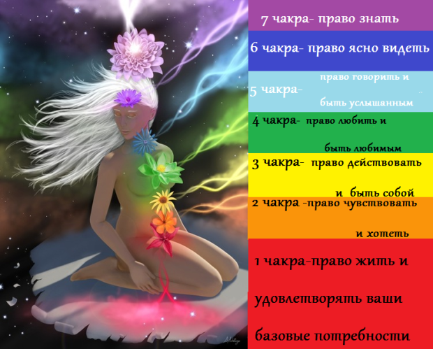 chakryi-prava